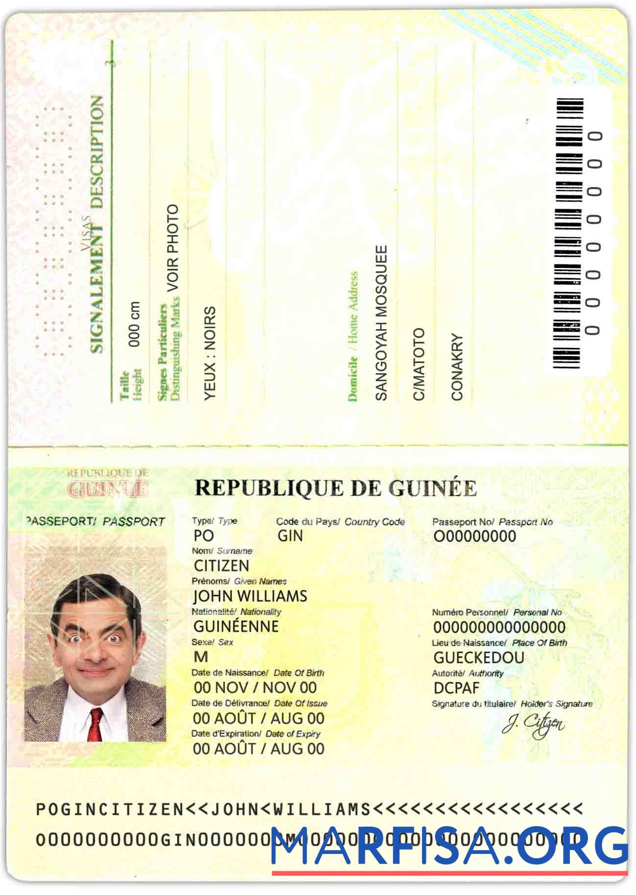 Printable Guinea Passport (2014 2018) real example
